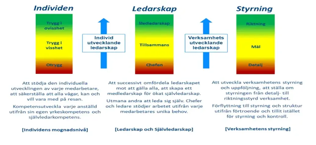 Översikt av Trustpeoples konsultprocess